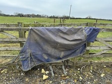 6'0 Mark Todd Heavyweight