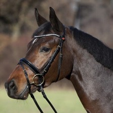 Kieffer Comfort Paris Snaffle Bridle
