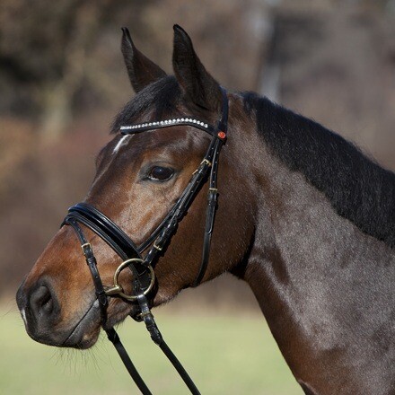 Kieffer comfort paris snaffle - kieffer,