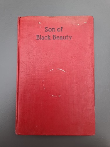 Son balck beauty - son, of