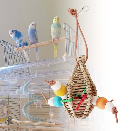Bird parrot toy - bird,