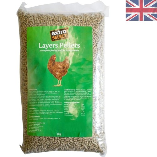Versatile 2kg poultry layer - poultry,