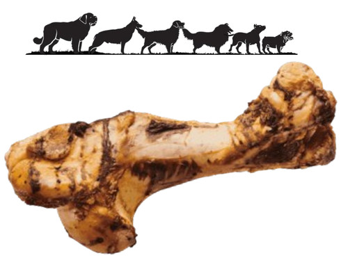 Whole roast beef bones - beef,