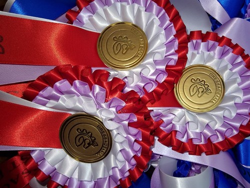 Equestrian rosettes - equestrian,