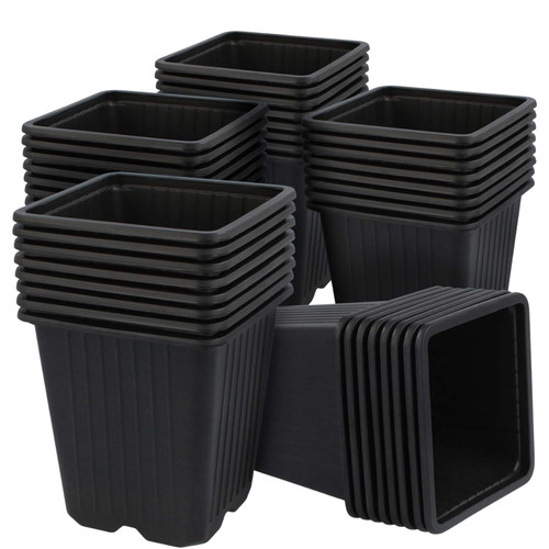 15x black seed pots - 15x,