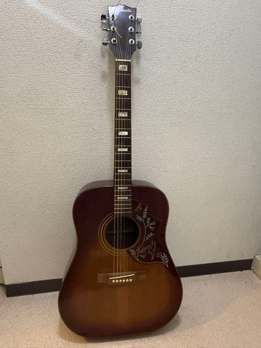 Yamaki m250r hummingbird - yamaki,