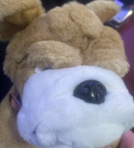 British bulldog plush gina - bulldog,