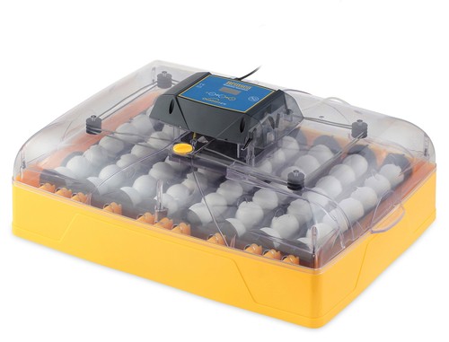 Brinsea ovation egg - ovation, ex