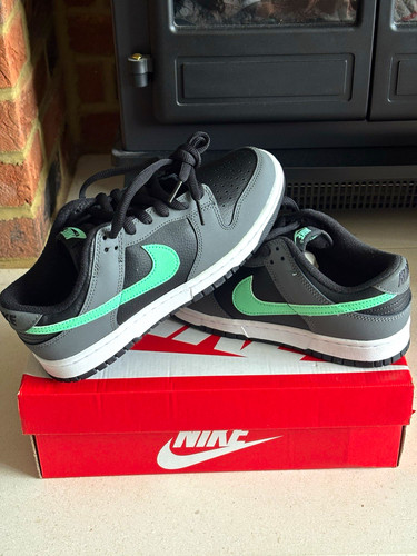 Nike dunk low - retro, men’s