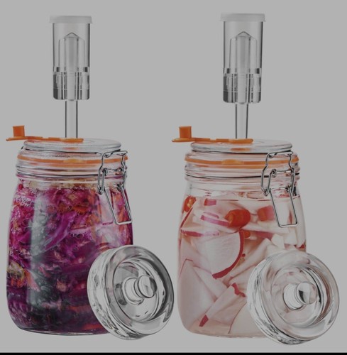 Glass fermentation jars - fermentation,