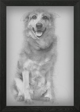 Cross breed dog 1 year old