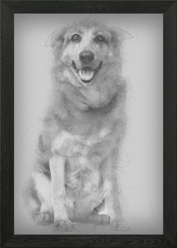 Cross breed dog year - cross,