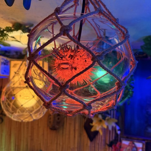 Tiki lamp puffer fish - lamp, float
