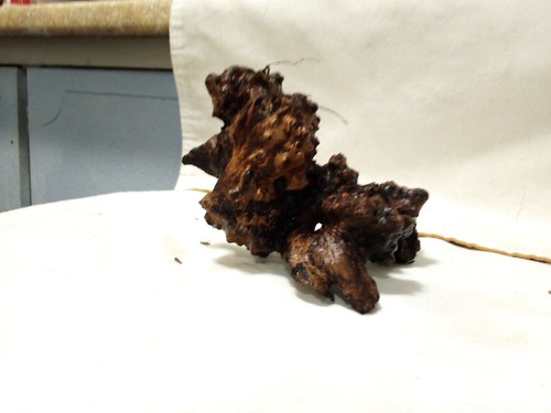 Aquarium driftwood - #f-08,