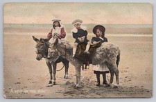 Children Donkeys Seaside