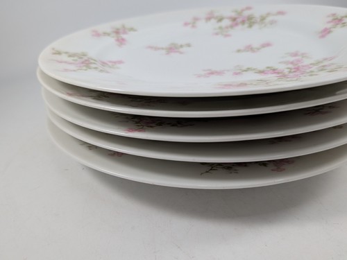 Set haviland limoges pink - set,