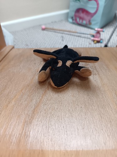 Teenie beanie babies - ty,