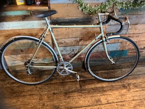 Raleigh record ace - record, reynolds