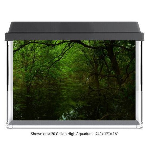 Dark swamp aquarium - swamp,