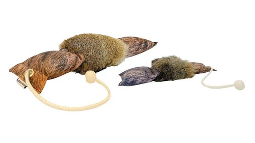 Dog field rabbit - dog&field,