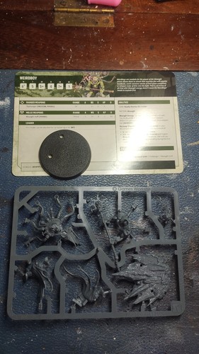 Ork wierdboy armageddon new - ork,