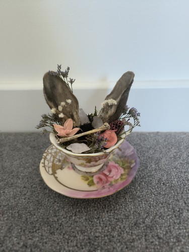Magical bunny ears - bunny,