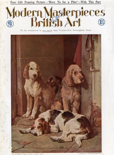 Otterhound otter hound - otterhound, dog