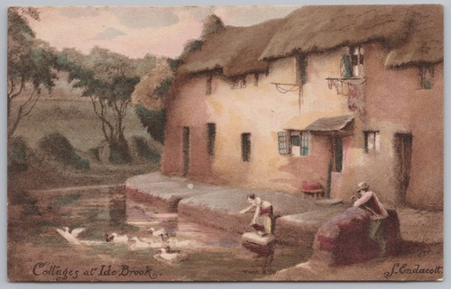 Ide brook devon - brook, cottages