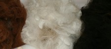 Alpaca Fleece for Stuffing