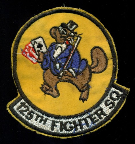 Usaf 125th fighter - v-16,
