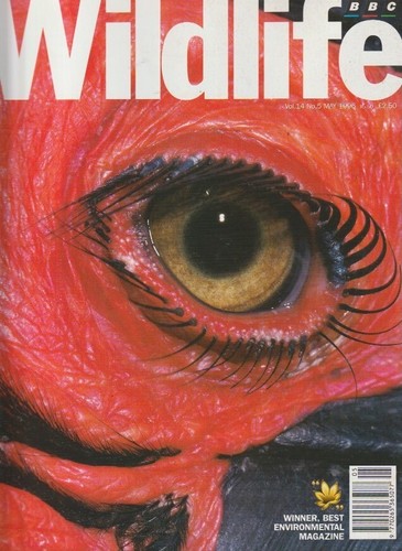 Bbc wildlife magazine may - wildlife, magazine-may