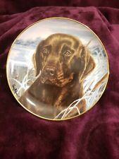 Chestnut Colour Labrador "Afternoon Watch" Collector Plate Franklin Mint Ltd