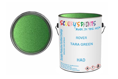 Classic paint for triumph - for,