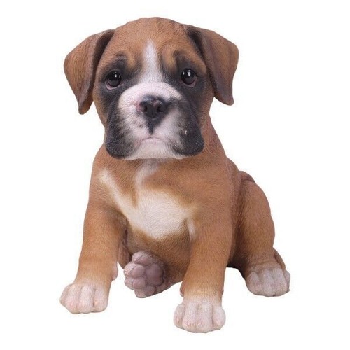 Boxer puppy hand painted - puppy,