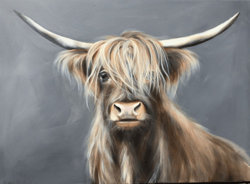 Highland cow canvas wall art - highland,