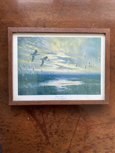 Small vintage print pair - small,