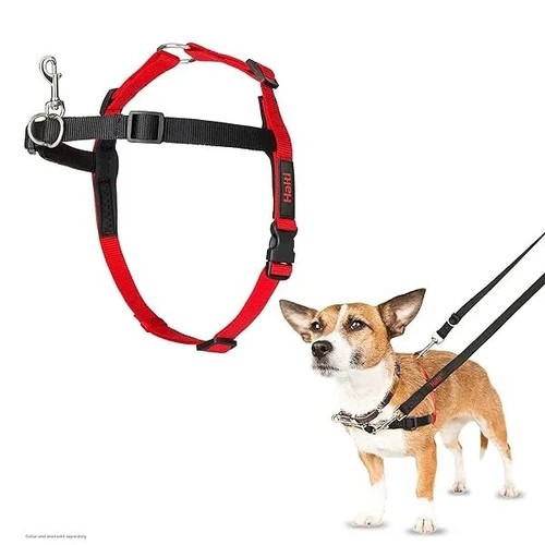 Halti front control - front,