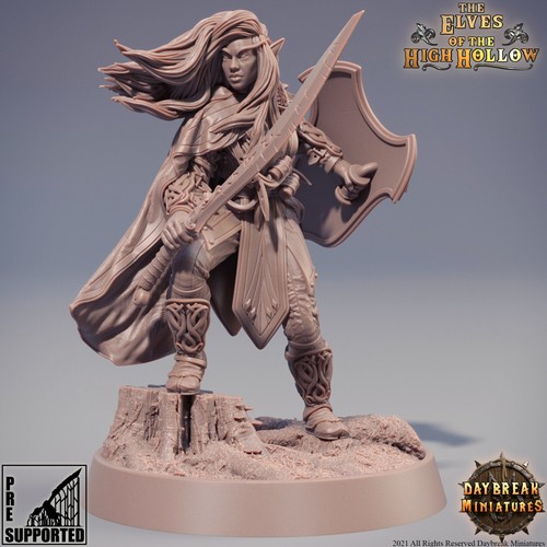 Elf warrior ranger daybreak - elf, |
