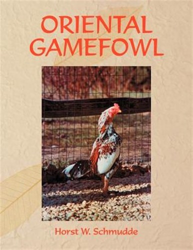 Oriental gamefowl a - gamefowl, :