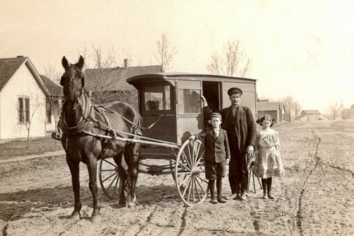 Modern rppc reprint horse - rppc,