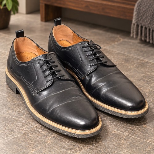 Deer stags highland - deer, black