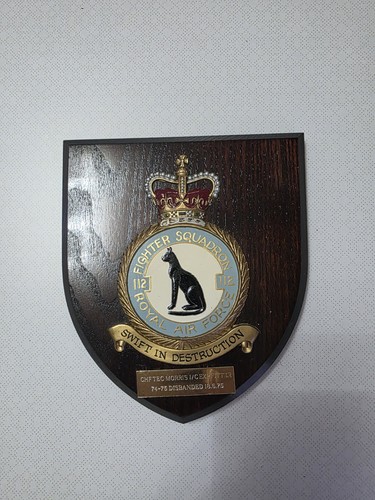 Vintage raf royal air force - vintage,
