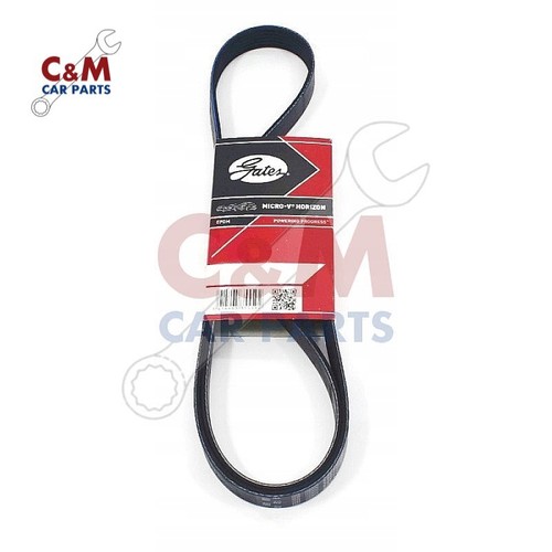 Alternator drive belt - belt, fits