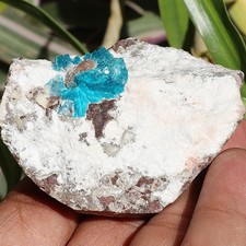 Cavansite 90g Rare Blue on