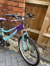 Apollo Vivid Junior Mountain