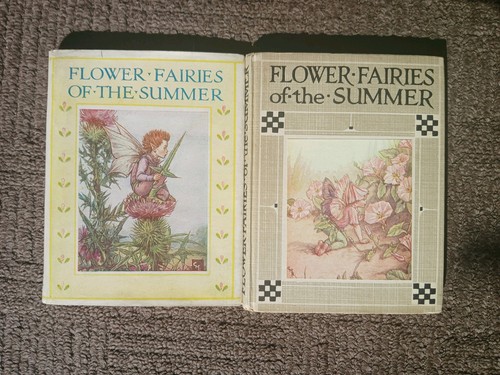Flower fairies the summer - fairies, of