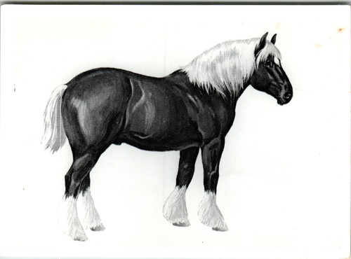 Vintage black white photo - &,