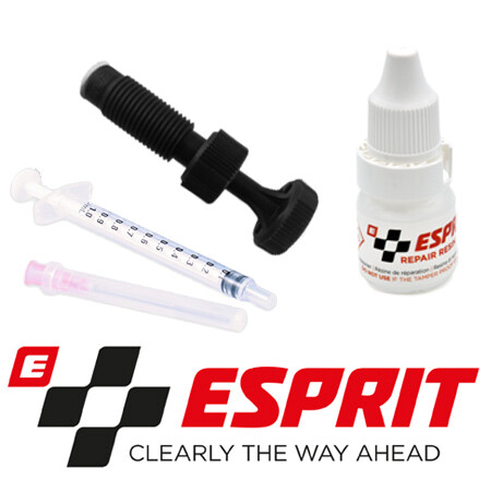 Esprit windscreen glass - windscreen, chip