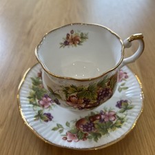 Vintage Queens Rosina Bone China Fruit Tea Cup and Saucer 