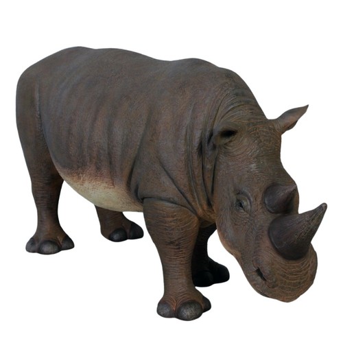 147cm rhinoceros calf standing - rhinoceros,